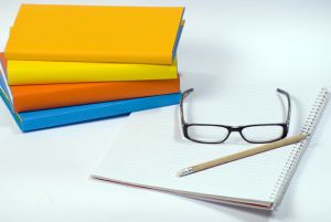 Lineas de Actuaci�n