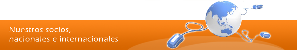 Estructura de la Red